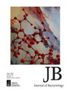 JOURNAL OF BACTERIOLOGY雜志封面